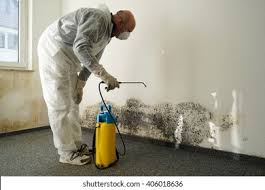 Best Mold Remediation for Vacation Homes  in Chester, SC